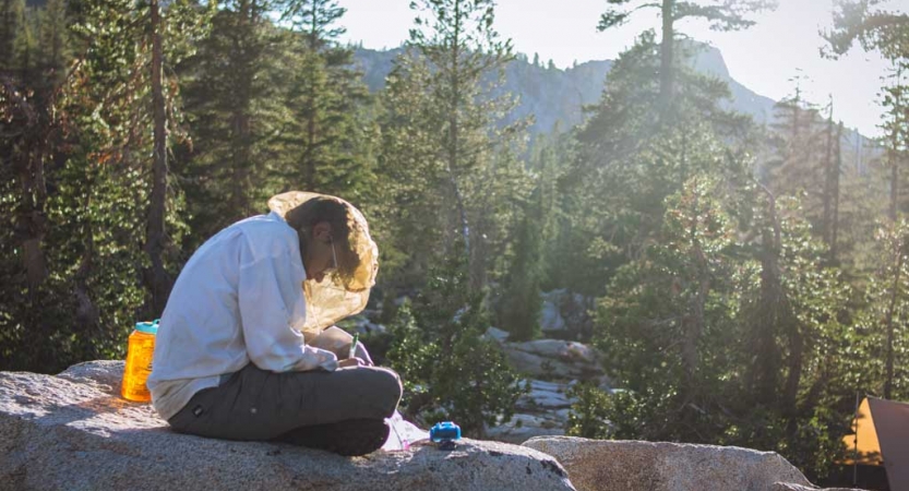 Am person wearing a mosquito net sits on a rock in a wooded area. They appear to be journaling. 